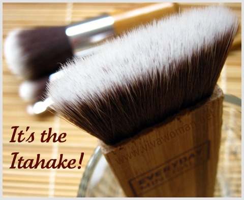     Makeup Brushes on Everyday Minerals Itahake Brush For Excesses