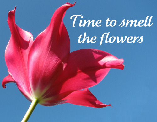 smell-the-flower.jpg
