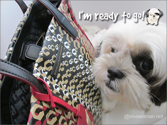Dog and tote bag