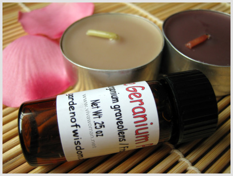 rose geranium pure essential oil