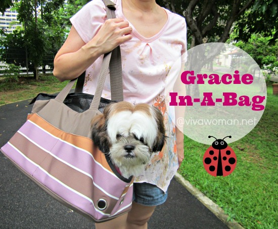 Gracie-In-Dog-Carrier-Bag