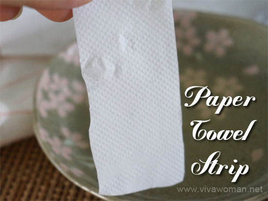 Paper Towel Pore Strip